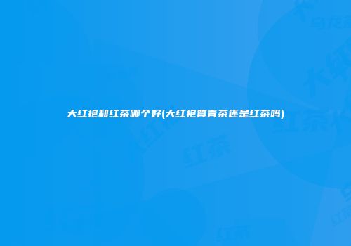 大红袍和红茶哪个好(大红袍算青茶还是红茶吗)
