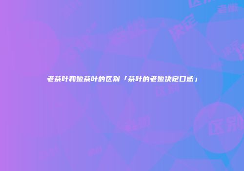 老茶叶和嫩茶叶的区别「茶叶的老嫩决定口感」