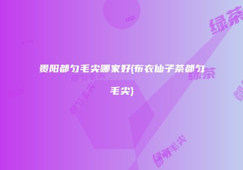贵阳都匀毛尖哪家好(布衣仙子茶都匀毛尖)