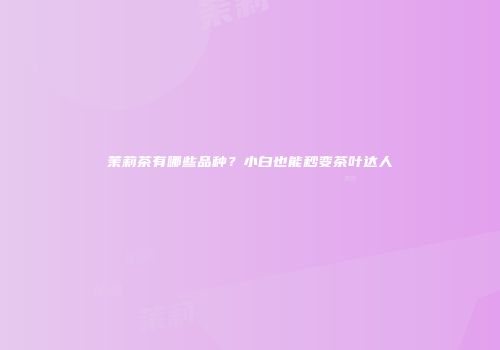 茉莉茶有哪些品种？小白也能秒变茶叶达人