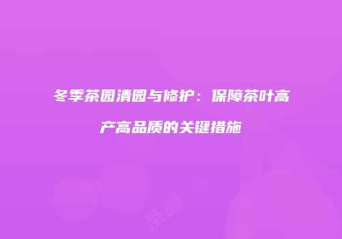 冬季茶园清园与修护：保障茶叶高产高品质的关键措施