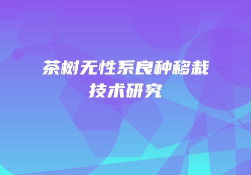茶树无性系良种移栽技术研究