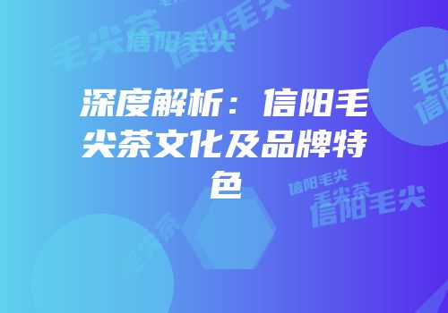 深度解析：信阳毛尖茶文化及品牌特色