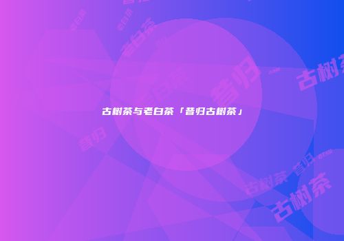 古树茶与老白茶「昔归古树茶」