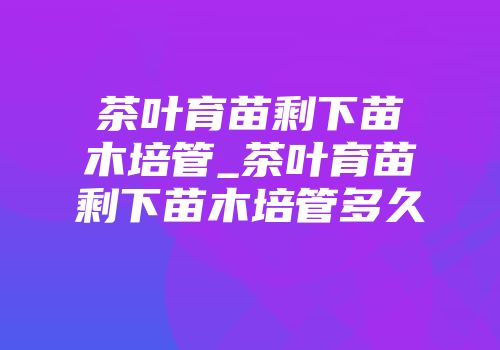 茶叶育苗剩下苗木培管_茶叶育苗剩下苗木培管多久