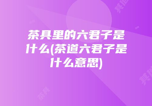 茶具里的六君子是什么(茶道六君子是什么意思)