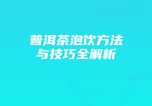 普洱茶泡饮方法与技巧全解析