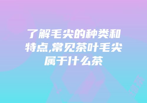 了解毛尖的种类和特点,常见茶叶毛尖属于什么茶