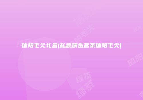 信阳毛尖礼盒(私藏精选茗茶信阳毛尖)