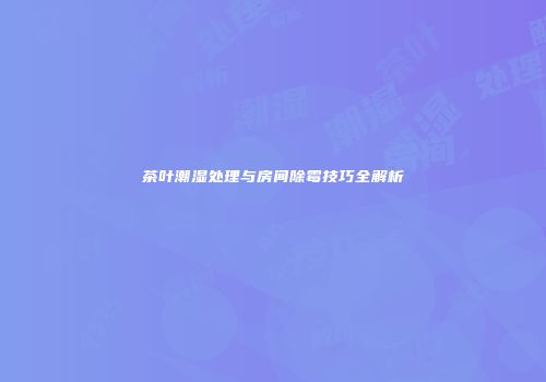 茶叶潮湿处理与房间除霉技巧全解析