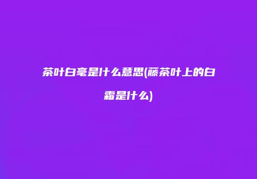 茶叶白毫是什么意思(藤茶叶上的白霜是什么)