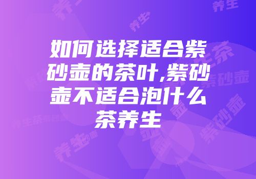如何选择适合紫砂壶的茶叶,紫砂壶不适合泡什么茶养生