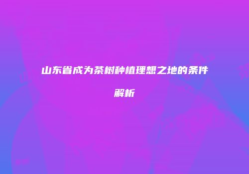 山东省成为茶树种植理想之地的条件解析