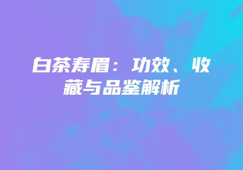 白茶寿眉：功效、收藏与品鉴解析