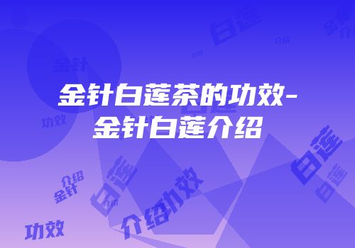 金针白莲茶的功效-金针白莲介绍