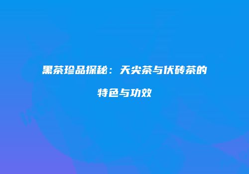 黑茶珍品探秘：天尖茶与伏砖茶的特色与功效