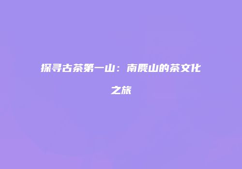 探寻古茶第一山：南麂山的茶文化之旅