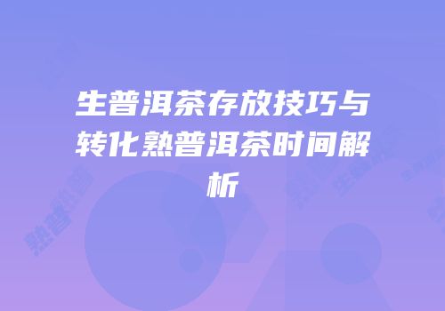 生普洱茶存放技巧与转化熟普洱茶时间解析