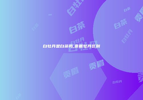 白牡丹是白茶吗,贡眉牡丹区别
