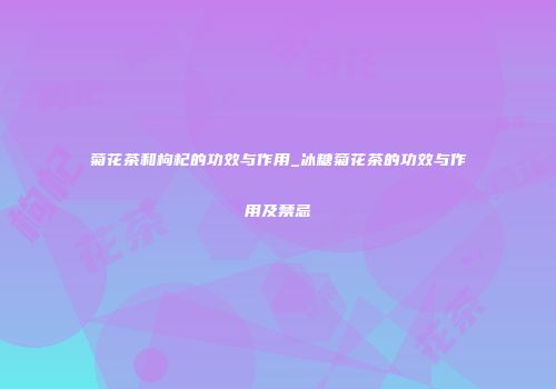 菊花茶和枸杞的功效与作用_冰糖菊花茶的功效与作用及禁忌