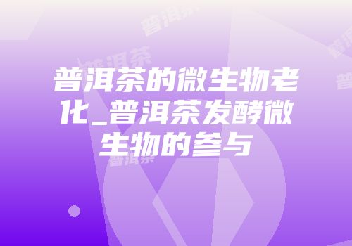 普洱茶的微生物老化_普洱茶发酵微生物的参与