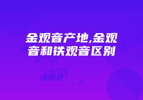金观音产地,金观音和铁观音区别