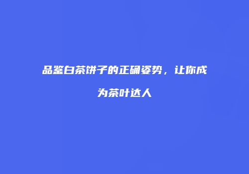 品鉴白茶饼子的正确姿势，让你成为茶叶达人
