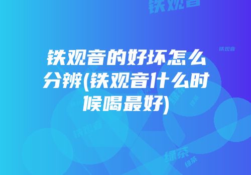 铁观音的好坏怎么分辨(铁观音什么时候喝最好)
