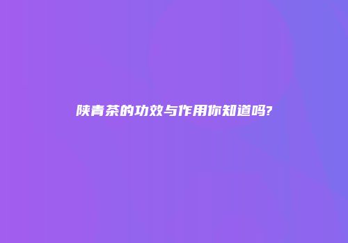 陕青茶的功效与作用你知道吗?