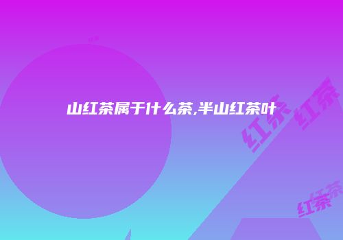 山红茶属于什么茶,半山红茶叶