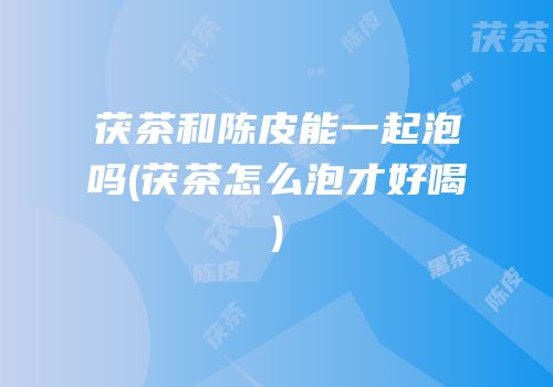 茯茶和陈皮能一起泡吗(茯茶怎么泡才好喝)