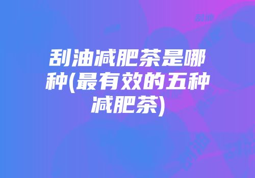 刮油减肥茶是哪种(最有效的五种减肥茶)