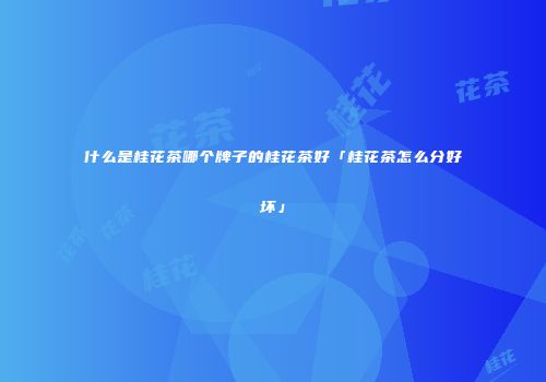 什么是桂花茶哪个牌子的桂花茶好「桂花茶怎么分好坏」