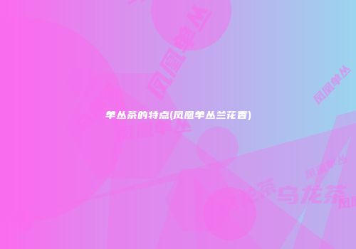 单丛茶的特点(凤凰单丛兰花香)
