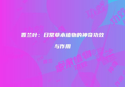 香兰叶：日常草本植物的神奇功效与作用