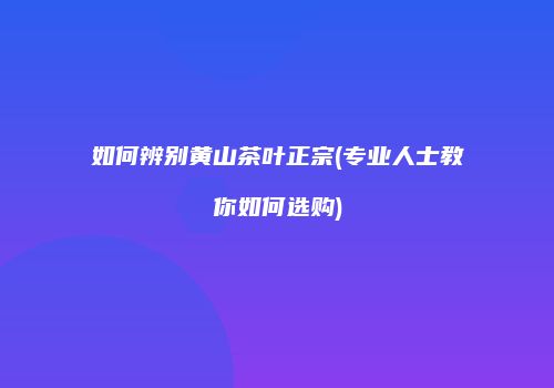如何辨别黄山茶叶正宗(专业人士教你如何选购)