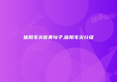 信阳毛尖优美句子,信阳毛尖分级