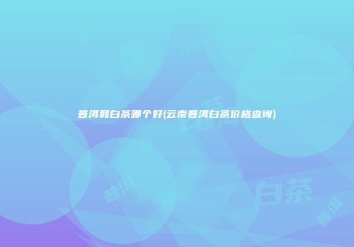普洱和白茶哪个好(云南普洱白茶价格查询)