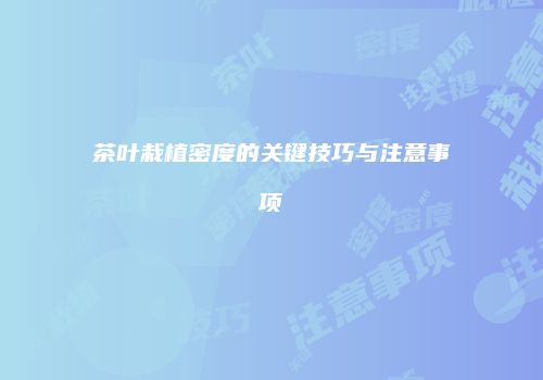 茶叶栽植密度的关键技巧与注意事项