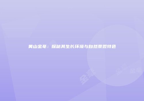 黄山金毫：探秘其生长环境与自然景观特色