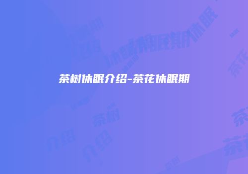 茶树休眠介绍-茶花休眠期