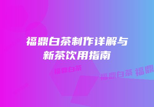 福鼎白茶制作详解与新茶饮用指南
