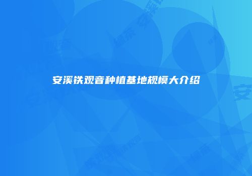 安溪铁观音种植基地规模大介绍