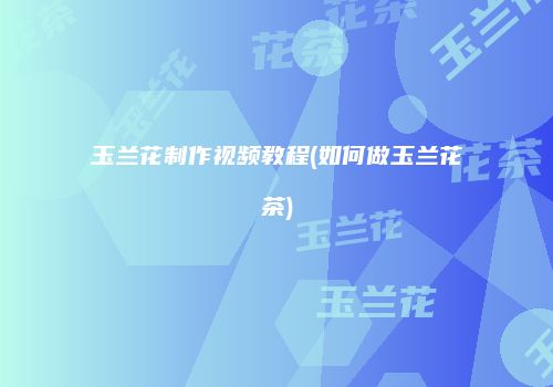 玉兰花制作视频教程(如何做玉兰花茶)