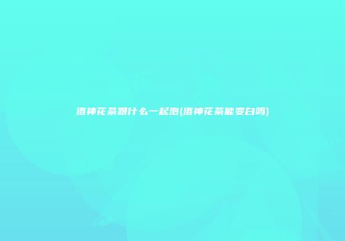 洛神花茶跟什么一起泡(洛神花茶能变白吗)