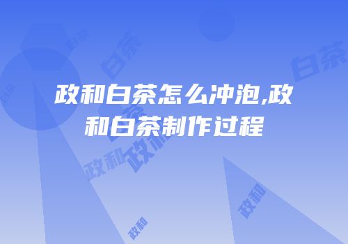 政和白茶怎么冲泡,政和白茶制作过程