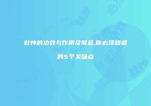 杜忡的功效与作用及禁忌,你必须知道的5个关键点