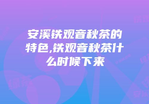 安溪铁观音秋茶的特色,铁观音秋茶什么时候下来