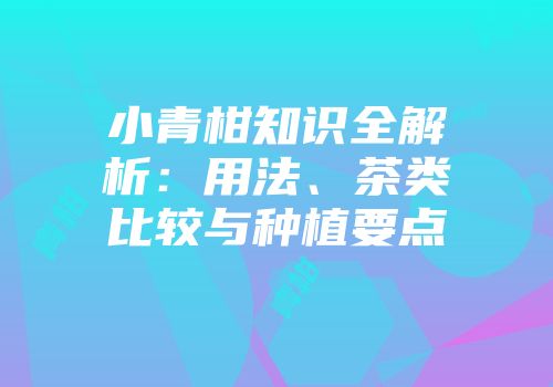 小青柑知识全解析：用法、茶类比较与种植要点