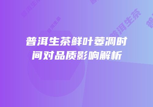 普洱生茶鲜叶萎凋时间对品质影响解析